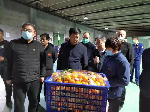張勝明副市長(zhǎng)赴濟(jì)寧蔬菜批發(fā)市場(chǎng)調(diào)研 筑牢食品安全防線，守護(hù)百姓“菜籃子”安全